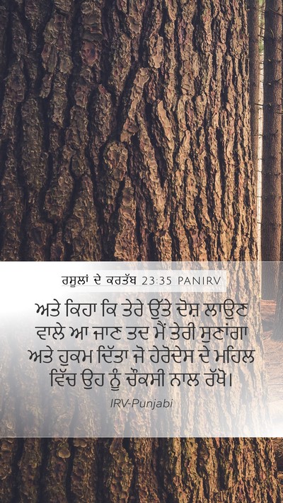 ਰਸੂਲਾਂ ਦੇ ਕਰਤੱਬ 23:35 PANIRV Bible Verse Image