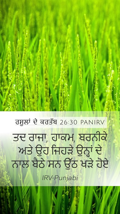 ਰਸੂਲਾਂ ਦੇ ਕਰਤੱਬ 26:30 PANIRV Bible Verse Image