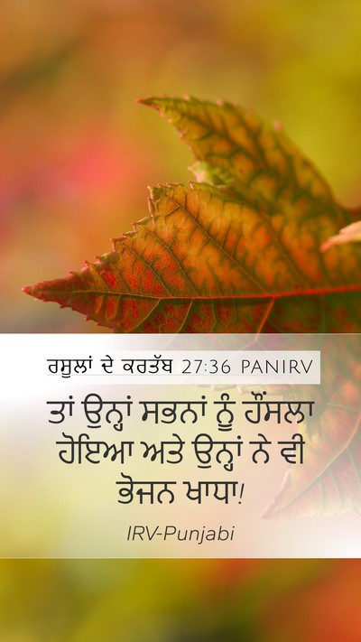 ਰਸੂਲਾਂ ਦੇ ਕਰਤੱਬ 27:36 PANIRV Bible Verse Image