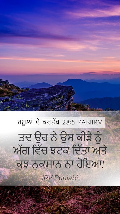 ਰਸੂਲਾਂ ਦੇ ਕਰਤੱਬ 28:5 PANIRV Bible Verse Image