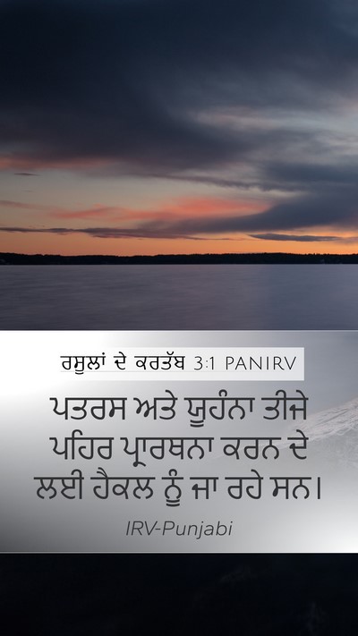 ਰਸੂਲਾਂ ਦੇ ਕਰਤੱਬ 3:1 PANIRV Bible Verse Image
