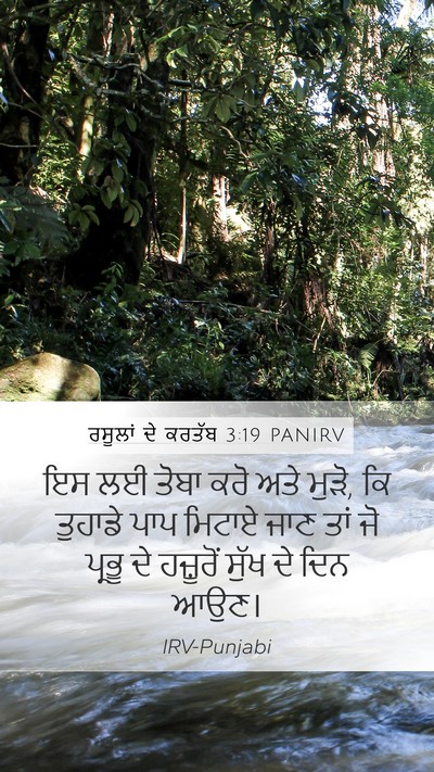 ਰਸੂਲਾਂ ਦੇ ਕਰਤੱਬ 3:19 PANIRV Bible Verse Image