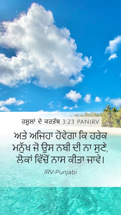 ਰਸੂਲਾਂ ਦੇ ਕਰਤੱਬ 3:23 PANIRV Bible Verse Image