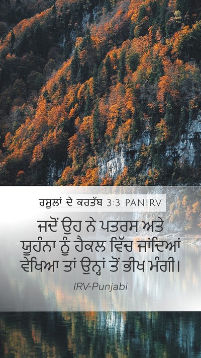 ਰਸੂਲਾਂ ਦੇ ਕਰਤੱਬ 3:3 PANIRV Mobile Phone Wallpaper - ਜਦੋਂ ਉਹ ਨੇ ਪਤਰਸ ਅਤੇ - Mobile Bible Verse Wallpaper