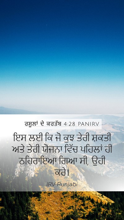 ਰਸੂਲਾਂ ਦੇ ਕਰਤੱਬ 4:28 PANIRV Bible Verse Image