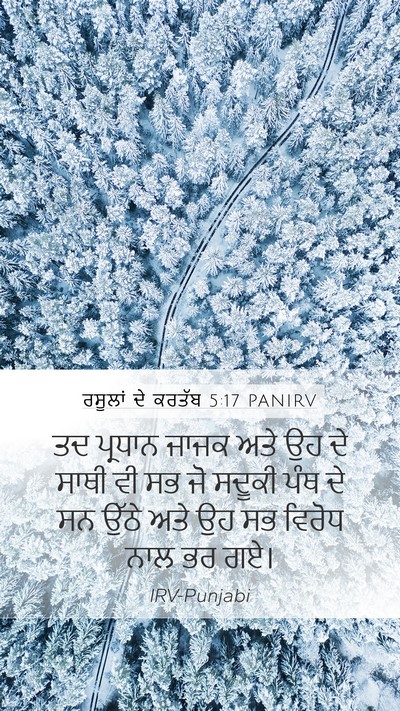 ਰਸੂਲਾਂ ਦੇ ਕਰਤੱਬ 5:17 PANIRV Bible Verse Image