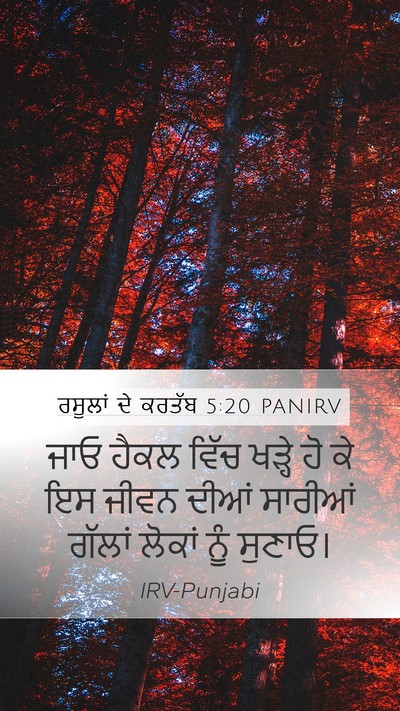 ਰਸੂਲਾਂ ਦੇ ਕਰਤੱਬ 5:20 PANIRV Bible Verse Image