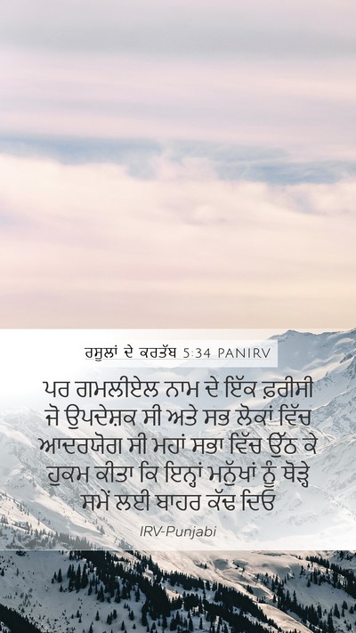 ਰਸੂਲਾਂ ਦੇ ਕਰਤੱਬ 5:34 PANIRV Bible Verse Image