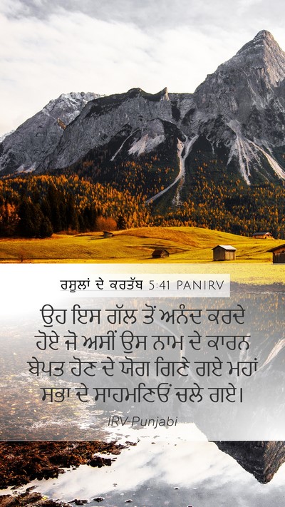ਰਸੂਲਾਂ ਦੇ ਕਰਤੱਬ 5:41 PANIRV Bible Verse Image