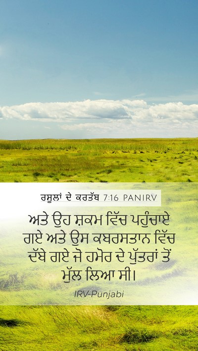 ਰਸੂਲਾਂ ਦੇ ਕਰਤੱਬ 7:16 PANIRV Bible Verse Image