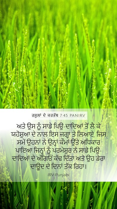 ਰਸੂਲਾਂ ਦੇ ਕਰਤੱਬ 7:45 PANIRV Bible Verse Image