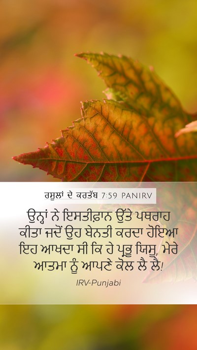 ਰਸੂਲਾਂ ਦੇ ਕਰਤੱਬ 7:59 PANIRV Bible Verse Image
