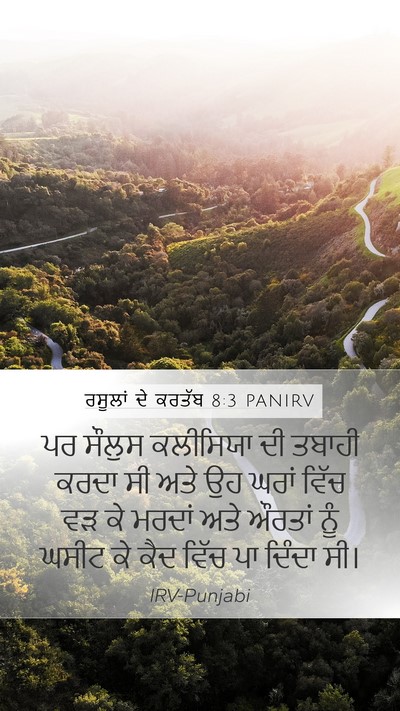 ਰਸੂਲਾਂ ਦੇ ਕਰਤੱਬ 8:3 PANIRV Bible Verse Image