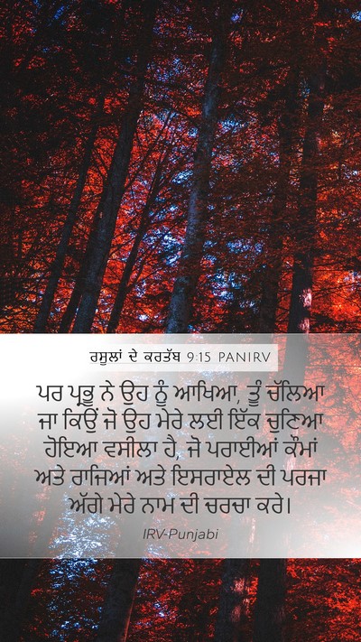 ਰਸੂਲਾਂ ਦੇ ਕਰਤੱਬ 9:15 PANIRV Bible Verse Image