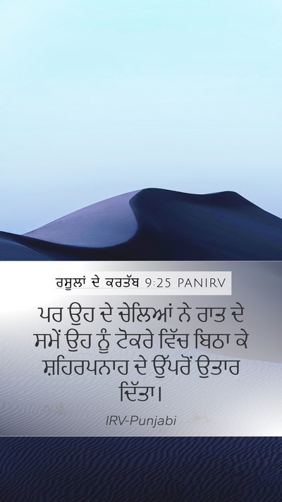 ਰਸੂਲਾਂ ਦੇ ਕਰਤੱਬ 9:25 PANIRV Bible Verse Image