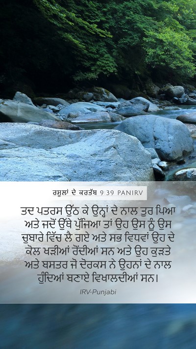 ਰਸੂਲਾਂ ਦੇ ਕਰਤੱਬ 9:39 PANIRV Bible Verse Image
