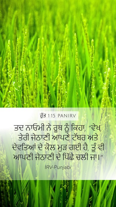 ਰੁੱਤ 1:15 PANIRV Bible Verse Image