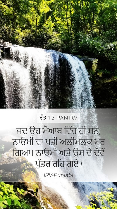 ਰੁੱਤ 1:3 PANIRV Mobile Phone Wallpaper - ਜਦ ਉਹ ਮੋਆਬ ਵਿੱਚ ਹੀ - Mobile Bible Verse Wallpaper