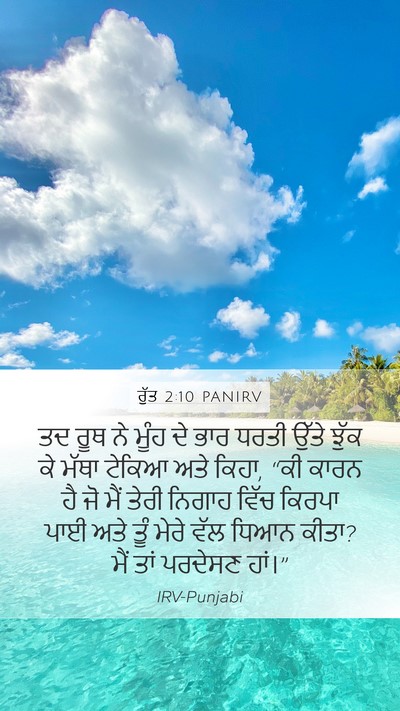 ਰੁੱਤ 2:10 PANIRV Bible Verse Image