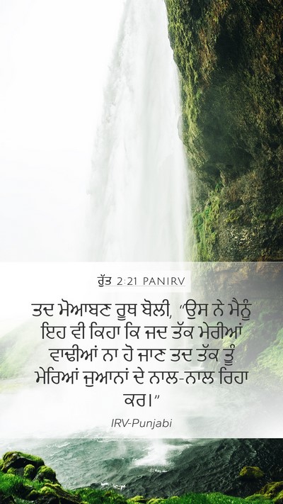 ਰੁੱਤ 2:21 PANIRV Mobile Phone Wallpaper - ਤਦ ਮੋਆਬਣ ਰੂਥ ਬੋਲੀ, - Mobile Bible Verse Wallpaper