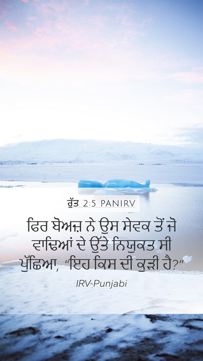 ਰੁੱਤ 2:5 PANIRV Mobile Phone Wallpaper - ਫਿਰ ਬੋਅਜ਼ ਨੇ ਉਸ - Mobile Bible Verse Wallpaper