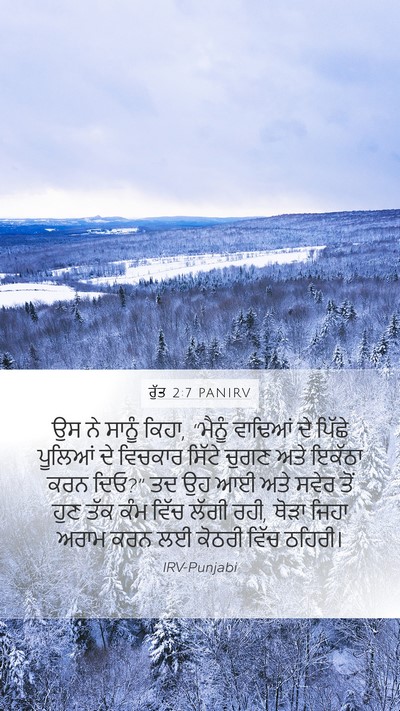 ਰੁੱਤ 2:7 PANIRV Bible Verse Image