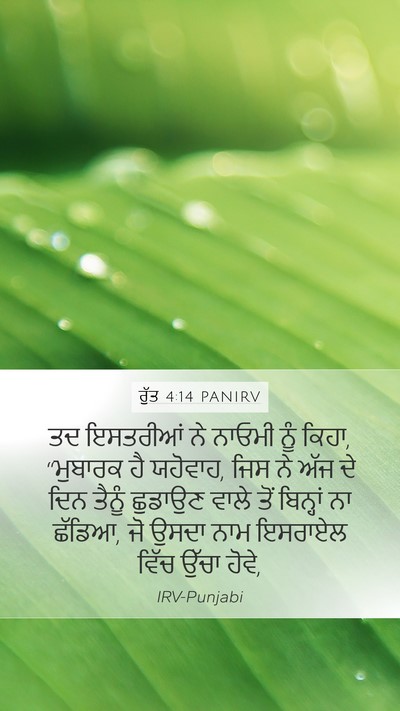 ਰੁੱਤ 4:14 PANIRV Bible Verse Image