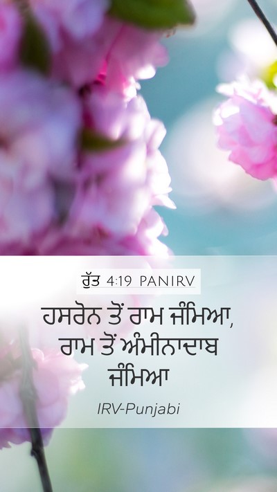 ਰੁੱਤ 4:19 PANIRV Bible Verse Image
