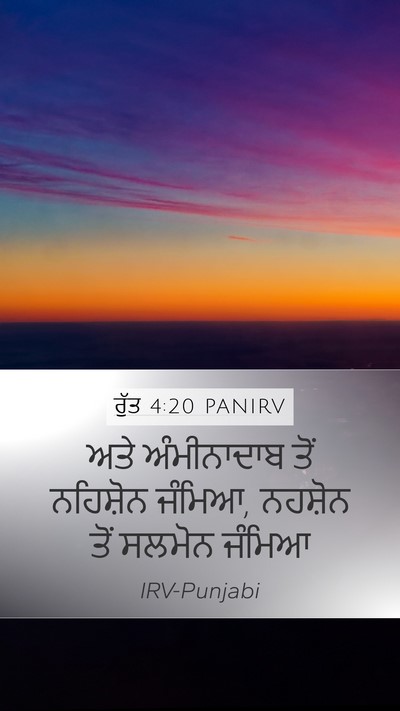 ਰੁੱਤ 4:20 PANIRV Bible Verse Image