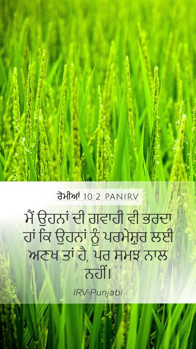 ਰੋਮੀਆਂ 10:2 PANIRV Bible Verse Image