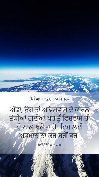 ਰੋਮੀਆਂ 11:20 PANIRV Bible Verse Image