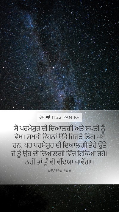 ਰੋਮੀਆਂ 11:22 PANIRV Bible Verse Image