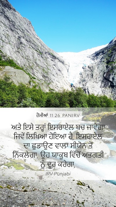 ਰੋਮੀਆਂ 11:26 PANIRV Bible Verse Image