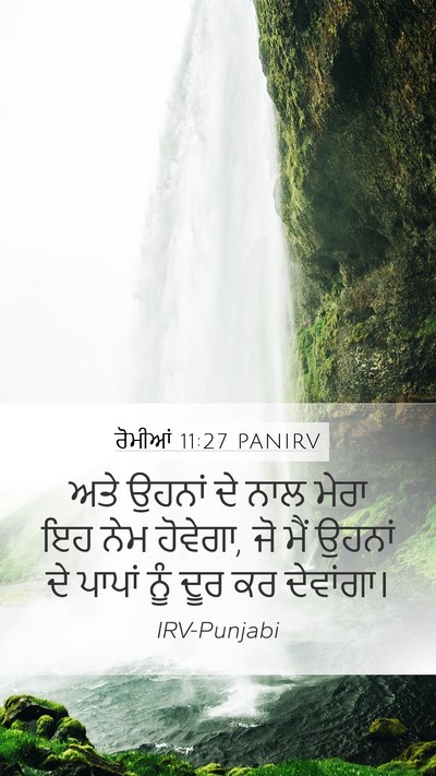 ਰੋਮੀਆਂ 11:27 PANIRV Bible Verse Image