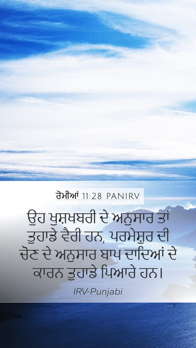 ਰੋਮੀਆਂ 11:28 PANIRV Bible Verse Image