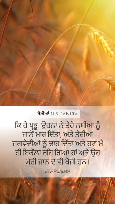 ਰੋਮੀਆਂ 11:3 PANIRV Bible Verse Image