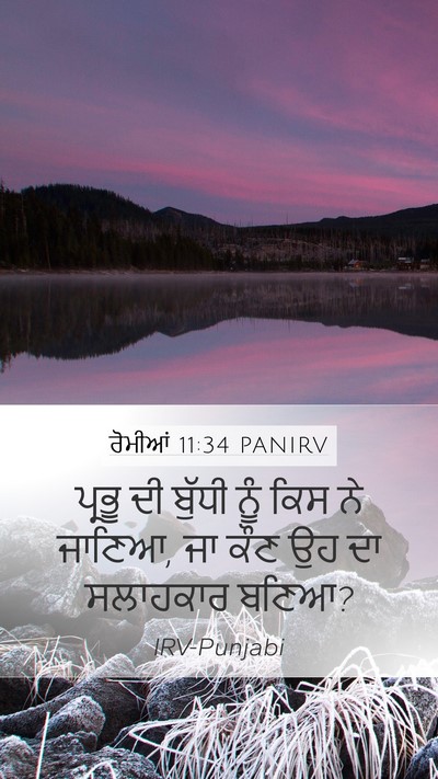 ਰੋਮੀਆਂ 11:34 PANIRV Bible Verse Image