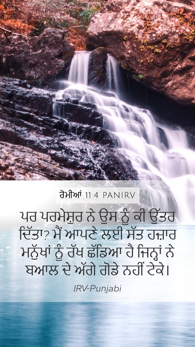 ਰੋਮੀਆਂ 11:4 PANIRV Bible Verse Image