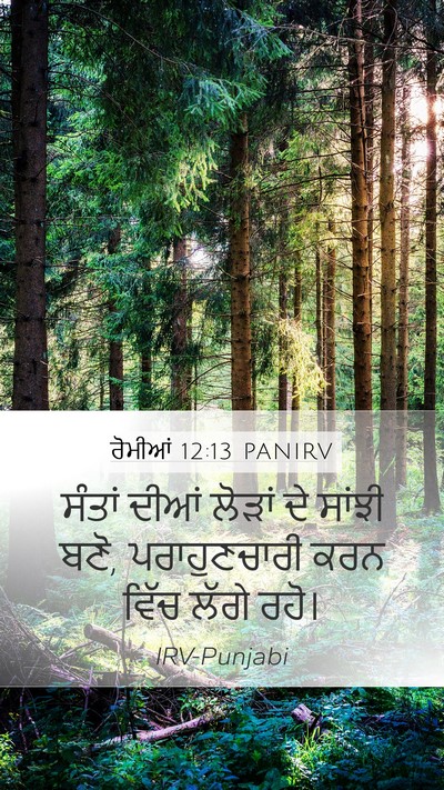 ਰੋਮੀਆਂ 12:13 PANIRV Bible Verse Image