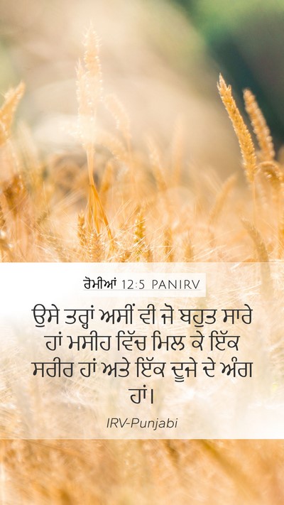 ਰੋਮੀਆਂ 12:5 PANIRV Mobile Phone Wallpaper - ਉਸੇ ਤਰ੍ਹਾਂ ਅਸੀਂ ਵੀ - Mobile Bible Verse Wallpaper
