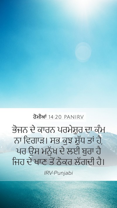 ਰੋਮੀਆਂ 14:20 PANIRV Bible Verse Image
