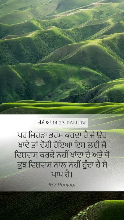 ਰੋਮੀਆਂ 14:23 PANIRV Bible Verse Image