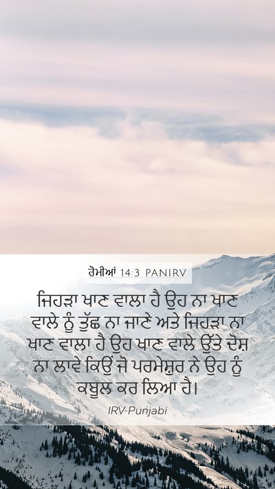 ਰੋਮੀਆਂ 14:3 PANIRV Bible Verse Image
