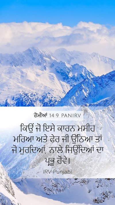 ਰੋਮੀਆਂ 14:9 PANIRV Bible Verse Image