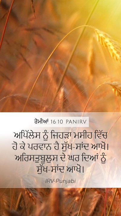 ਰੋਮੀਆਂ 16:10 PANIRV Mobile Phone Wallpaper - ਅਪਿੱਲੇਸ ਨੂੰ ਜਿਹੜਾ - Mobile Bible Verse Wallpaper