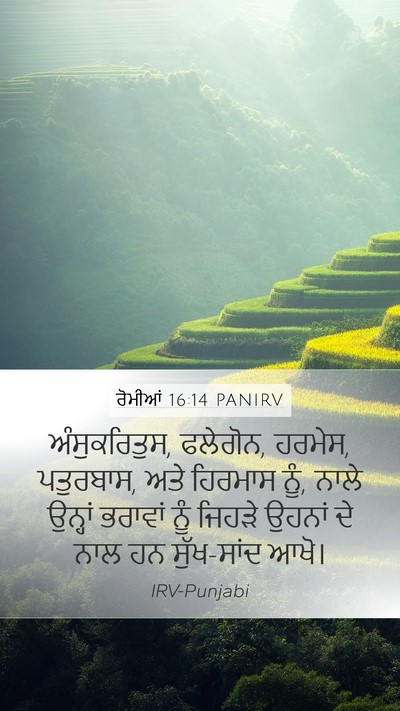 ਰੋਮੀਆਂ 16:14 PANIRV Bible Verse Image