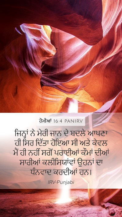 ਰੋਮੀਆਂ 16:4 PANIRV Bible Verse Image