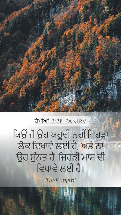 ਰੋਮੀਆਂ 2:28 PANIRV Bible Verse Image