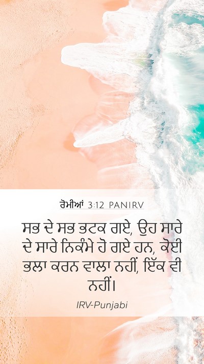 ਰੋਮੀਆਂ 3:12 PANIRV Bible Verse Image