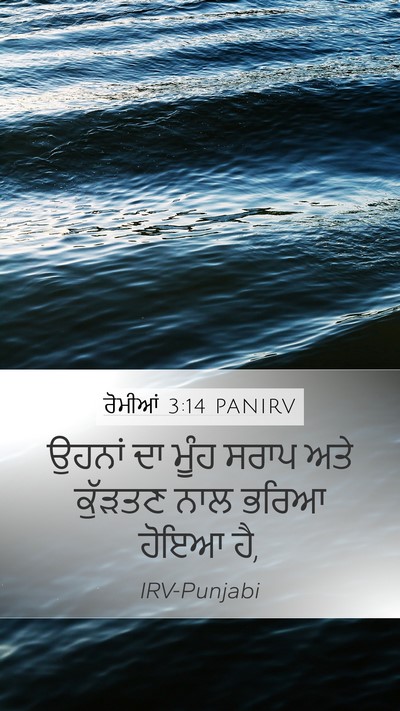 ਰੋਮੀਆਂ 3:14 PANIRV Bible Verse Image